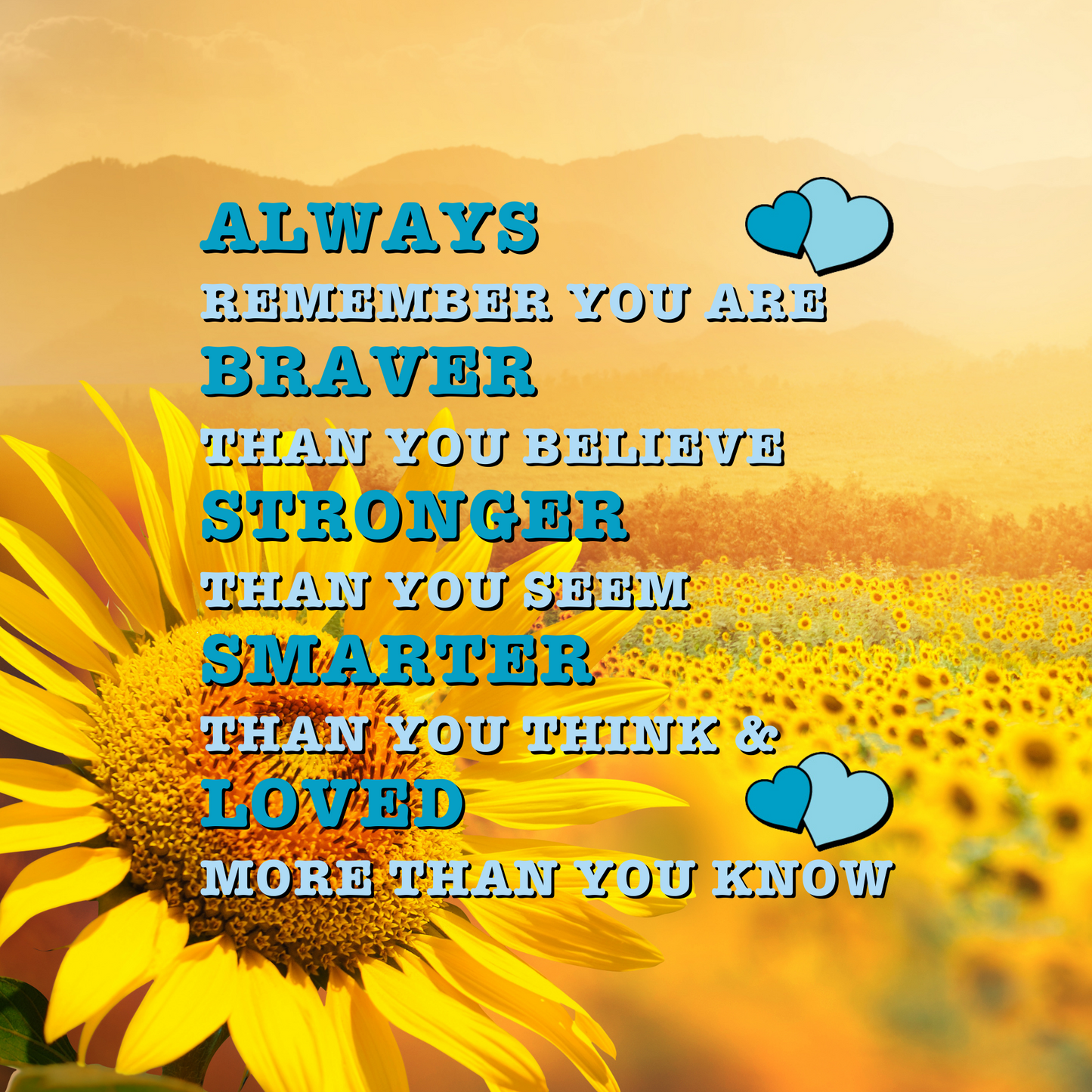 Mel's Sunflower Bundle - Inc Cushion Cover & Cushion Insert, Wall/Door Cover & 2 frames with prints