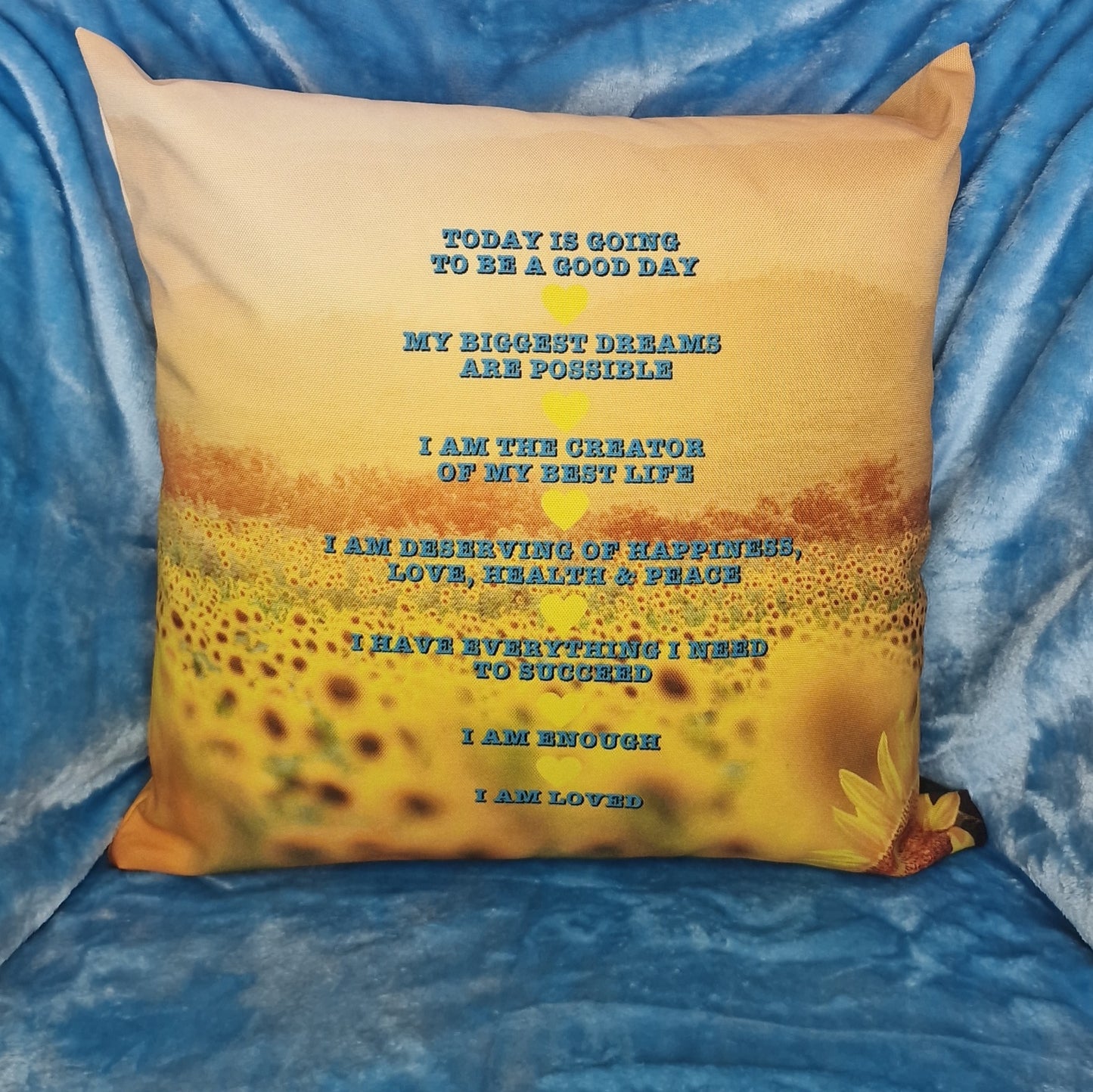 Mel's Positive Affirmations Cushion - with Insert